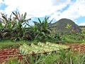 Vinales - Valle Vinales