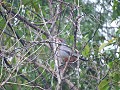 Playa Giron - Park sendero enigma de las roca's - 