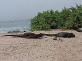 Galapagos - Cruise - Isla Espanola