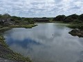Galapagos - Dagtrip naar Isla Isabela - Villamil L