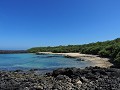 Galapagos - Dagtrip naar Isla Isabela - Isleta Los