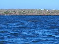 Galapagos - Cruise - Eerste dolfijn