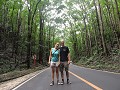 Bohol - Tour rond het eiland - Man made forest 