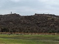 Jaipur - Amer fort