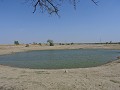 Jaisalmer - Kamelensafari - Oase