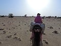 Jaisalmer - Kamelensafari - Hobbelen door de woest