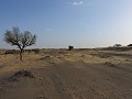 Jaisalmer - Kamelensafari - Woestijn