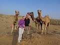 Jaisalmer - Kamelensafari
