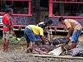 Tana Toraja - Begrafenisritueel - ... En ineens in
