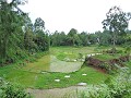 Tana Toraja - De mooie groene omgeving met rijstve