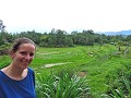 Tana Toraja - Nog meer rijstvelden