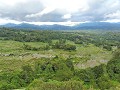 Tana Toraja - Rijstvelden zover het oog rijkt