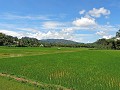 Tana Toraja - Zelf op tocht - Mooie dag - Mooie na