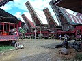 Tana Toraja - Typische huizen - Hier ging het begr