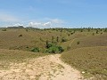 Komodo - Rinca eiland - Rondwandeling