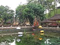 Ubud - Tirta Empul tempel