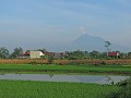 Jogja Heritage Walk - Prembanan - In de verte een 