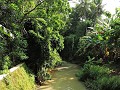 Jogja Heritage Walk - Imogiri - De koeien wassen