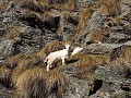 Wandeling 5: Natuurpark Alta Valsesia