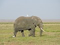Makkelijke taxi