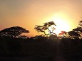Wauw; zonsondergang in de savanne