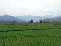Luang Prabang - Fietstocht naar de Kuang Si waterv