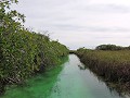 Tulum - Sian Ka'an Nationaal Park