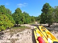 Tofo - Kanovaren Mangrove