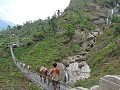 Manaslu Circuit - Ook de ezels nemen de brug