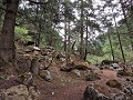 Manaslu Circuit - Mooie bospaden