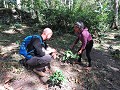 Matagalpa - Koffietour - Koffieplantage
