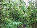 Matagalpa - Wandeling Reserva Natural Cerro Apante