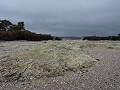Rotorua - Stadswandeling