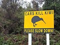 Met de ouders - watch out for Kiwi's