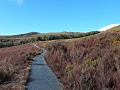 Owhango - Tongariro National park - let's do some 