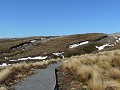 Owhango - Tongariro National park - overzicht