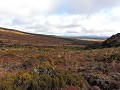 Owhango - Tongariro National park - prachtige natu
