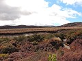 Owhango - Tongariro National park - nog meer van d
