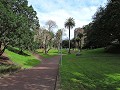 Auckland - een van de vele parkjes
