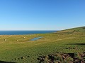 Dunedin - Wildlife tour