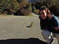 Milford Road - Grappige beestjes