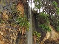 Coromandel - Cathedral Cove - waterval