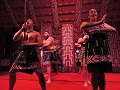 Treaty grounds - Maori opvoering