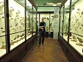 Wenen - Natuurhistorisch museum