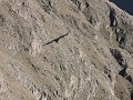Colca Canyon - Cruz del Condor