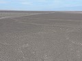Nazca - De Nazca figuren en lijnen