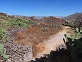Ayacucho - De Wari hoofdstad