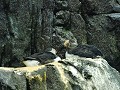Lissabon - Oceanário de Lisboa