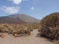 Tenerife - Roques De Garcia