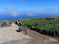 Tenerife - Bodeja Monje